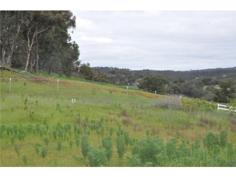 6 Tarlo Bend, Jane Brook WA 6056