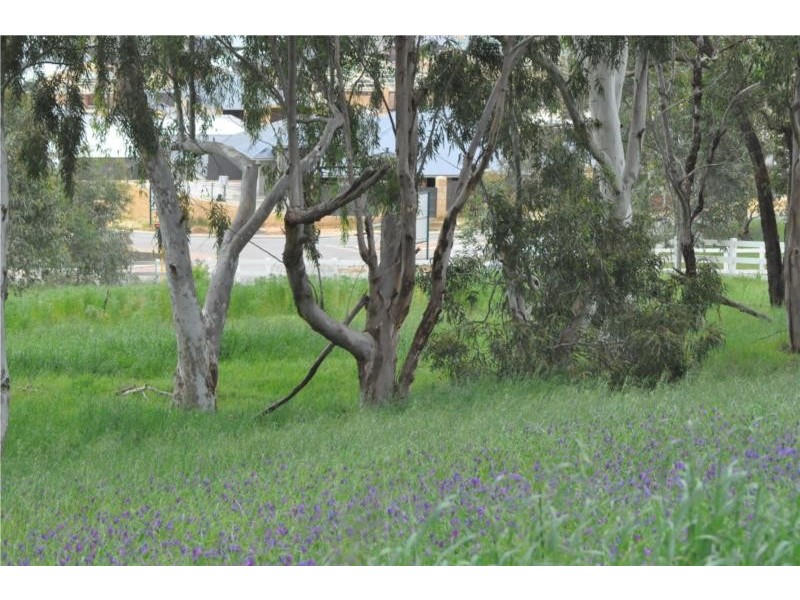 6 Tarlo Bend, Jane Brook WA 6056