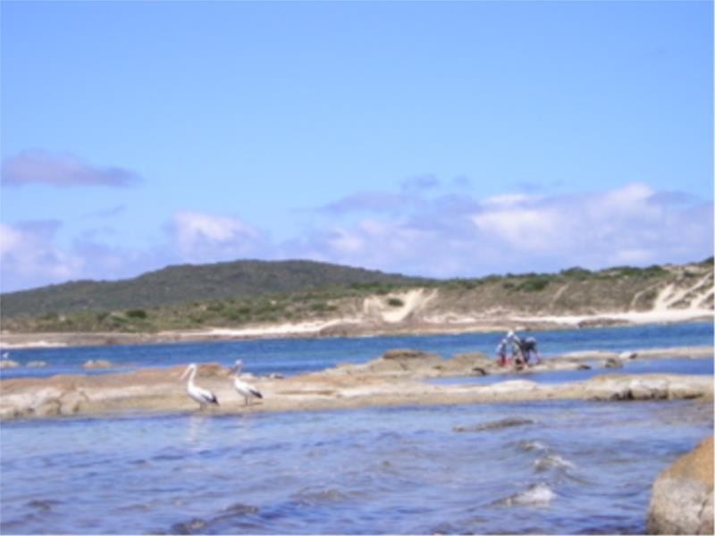 Lot 5 Peaceful Bay Road, Peaceful Bay WA 6333