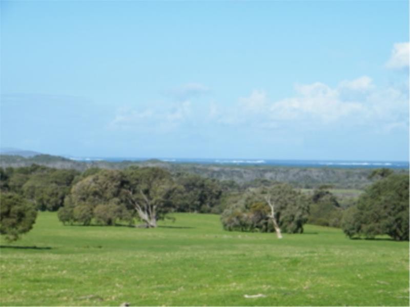 Lot 5 Peaceful Bay Road, Peaceful Bay WA 6333