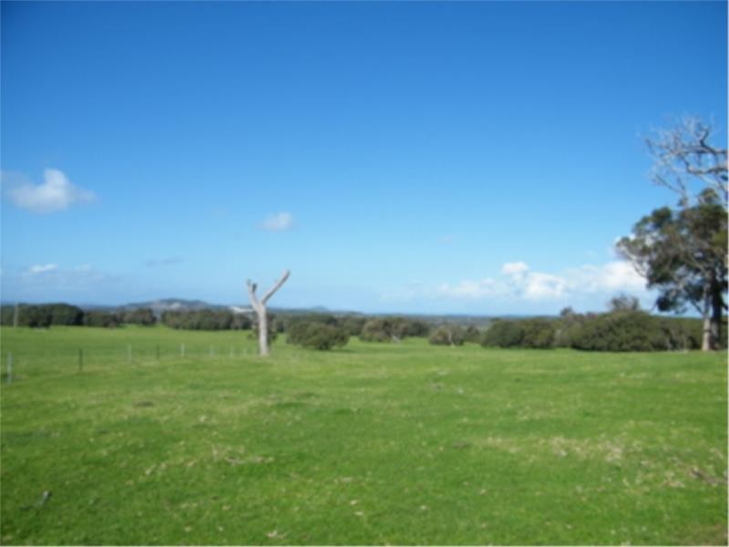 Lot 5 Peaceful Bay Road, Peaceful Bay WA 6333