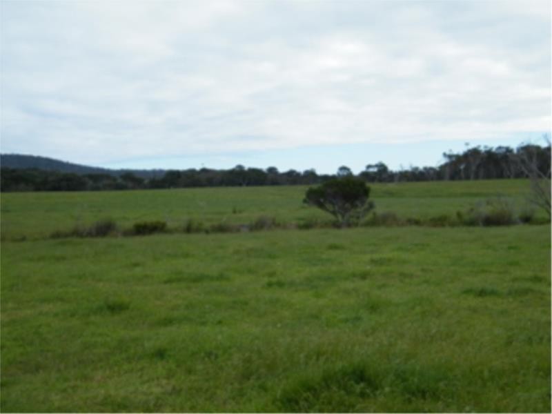 Lot 2 Ficifolia Road, Peaceful Bay WA 6333
