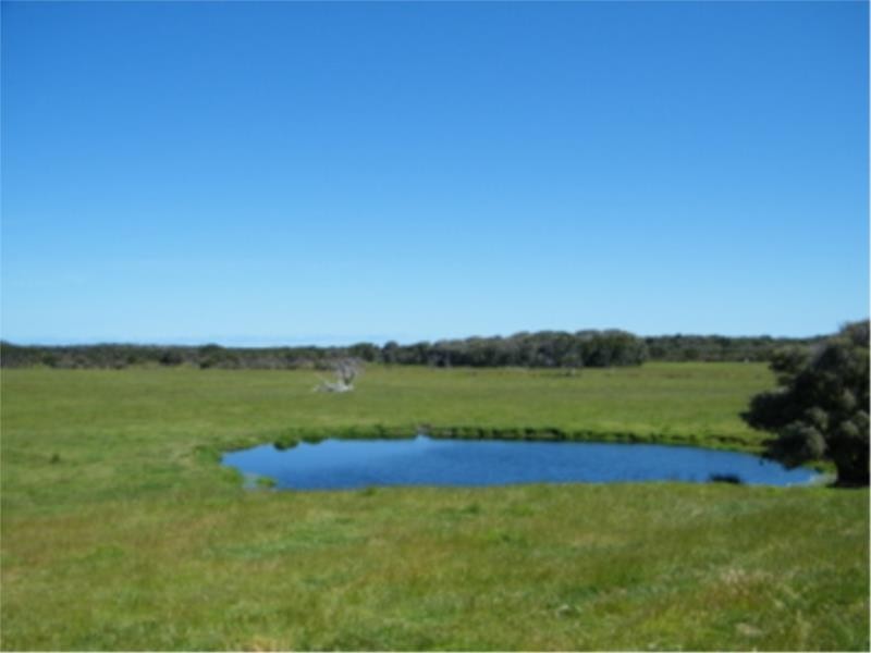 Lot 2 Ficifolia Road, Peaceful Bay WA 6333
