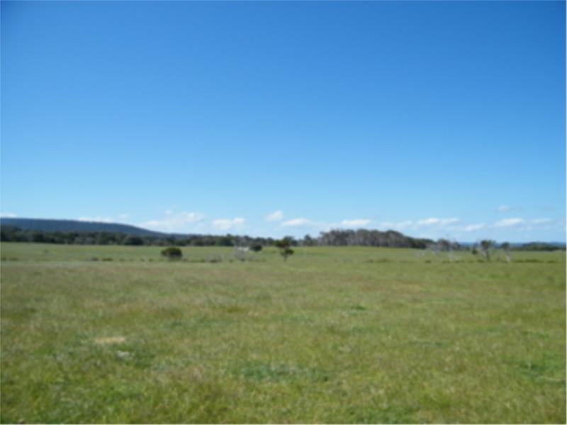 Lot 2 Ficifolia Road, Peaceful Bay WA 6333