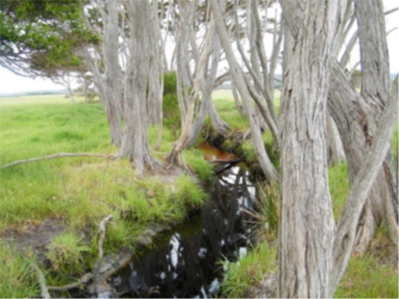 Lot 2 Ficifolia Road, Peaceful Bay WA 6333