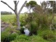 Lot 2 Ficifolia Road, Peaceful Bay WA 6333