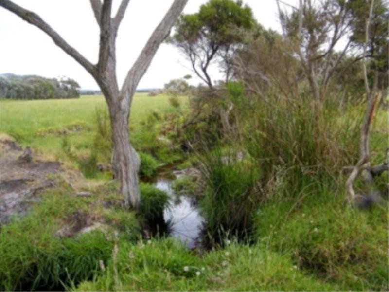 Lot 2 Ficifolia Road, Peaceful Bay WA 6333