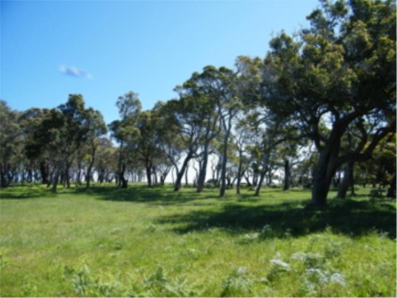 Lot 2 Ficifolia Road, Peaceful Bay WA 6333