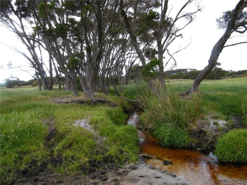Lot 2 Ficifolia Road, Peaceful Bay WA 6333