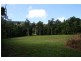 Little Mulgrave QLD 4865