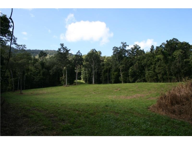 Little Mulgrave QLD 4865