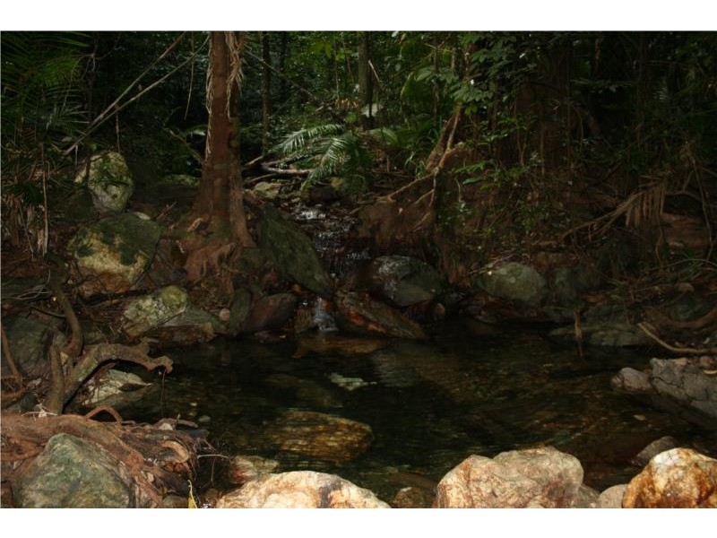 Little Mulgrave QLD 4865