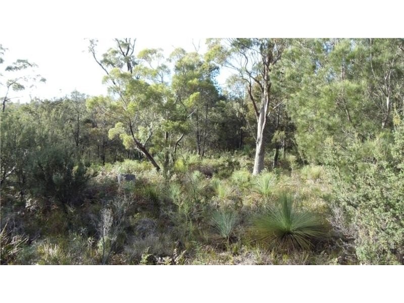 1645 Coles Bay Road, Coles Bay TAS 7215