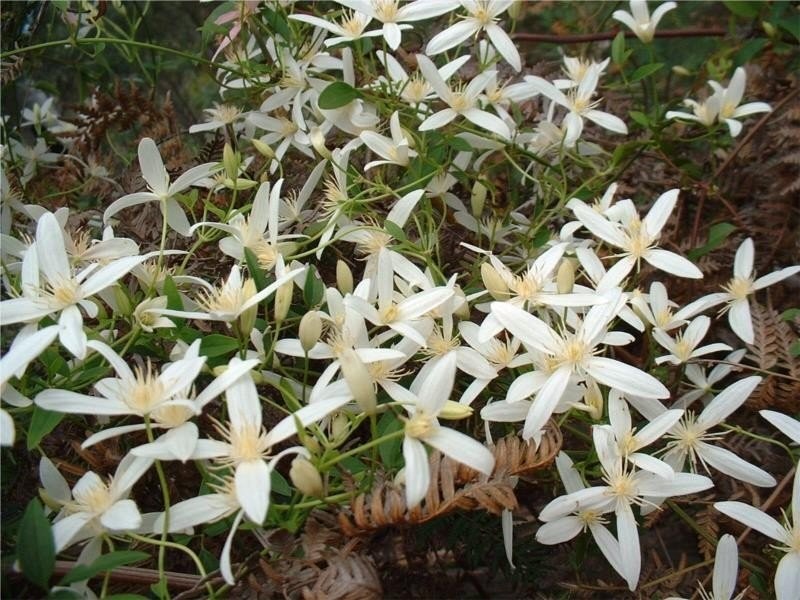 1645 Coles Bay Road, Coles Bay TAS 7215