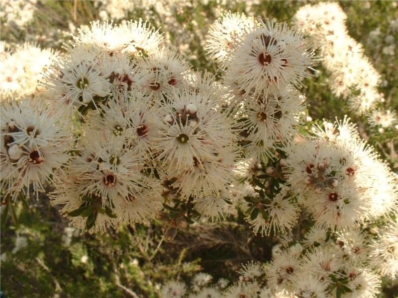 1645 Coles Bay Road, Coles Bay TAS 7215