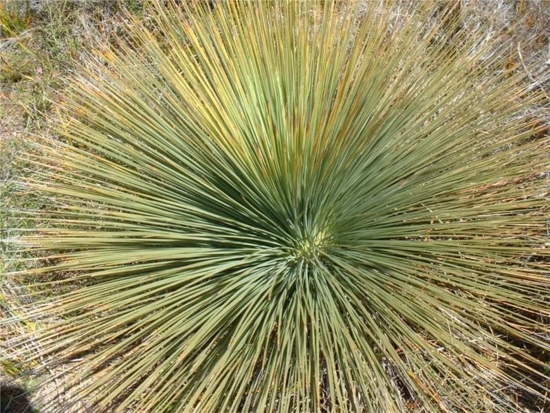 1645 Coles Bay Road, Coles Bay TAS 7215