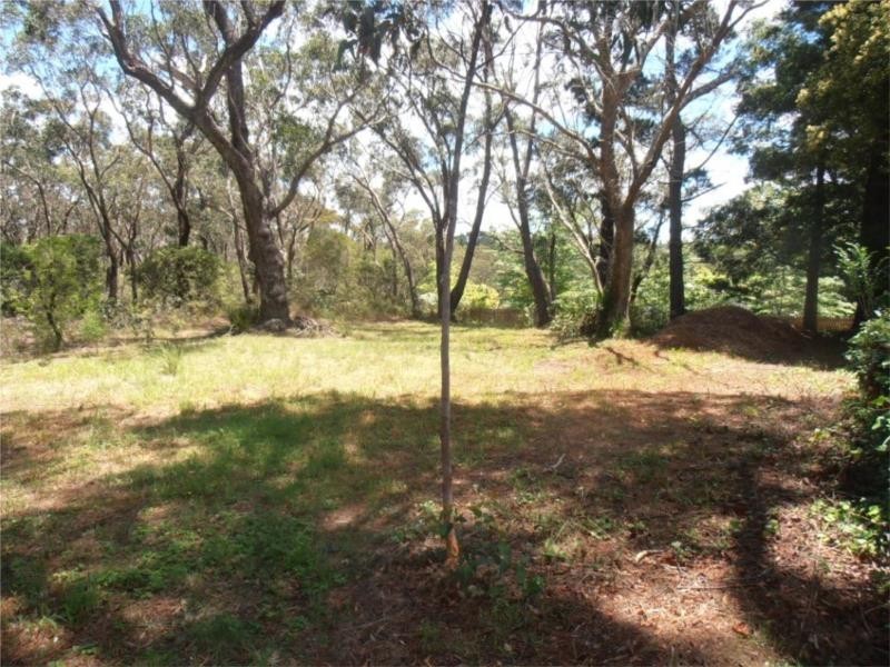 31 Albert Street, Leura NSW 2780