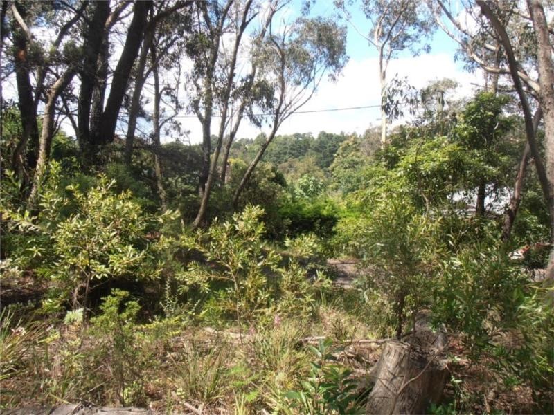 31 Albert Street, Leura NSW 2780