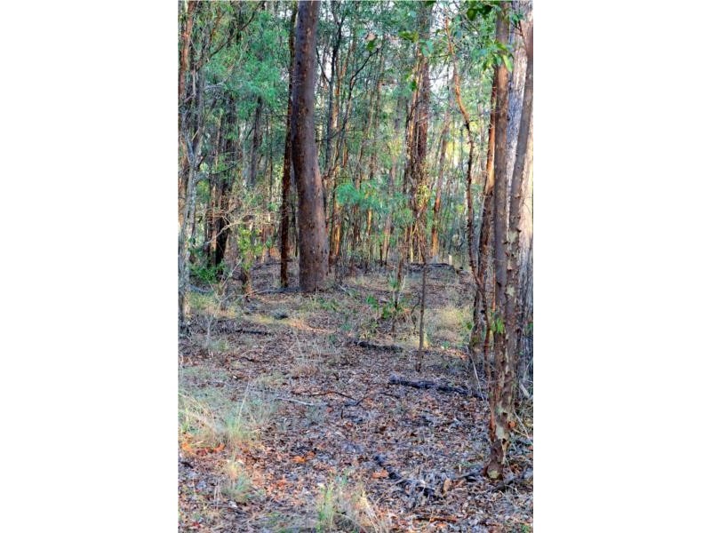 Ferny Hills QLD 4055
