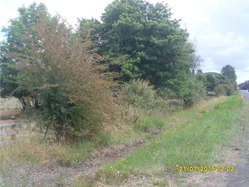 832 Hobart Road, Breadalbane TAS 7258