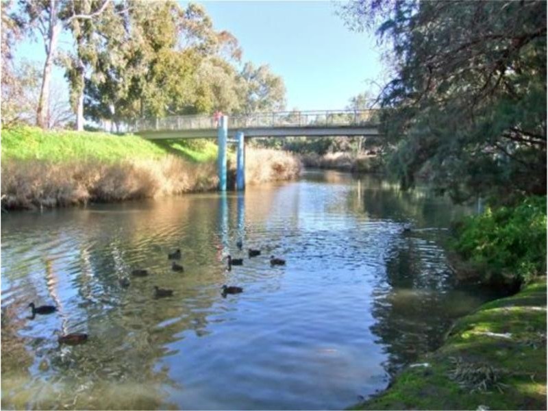 5A Myzantha Street, Lockleys SA 5032