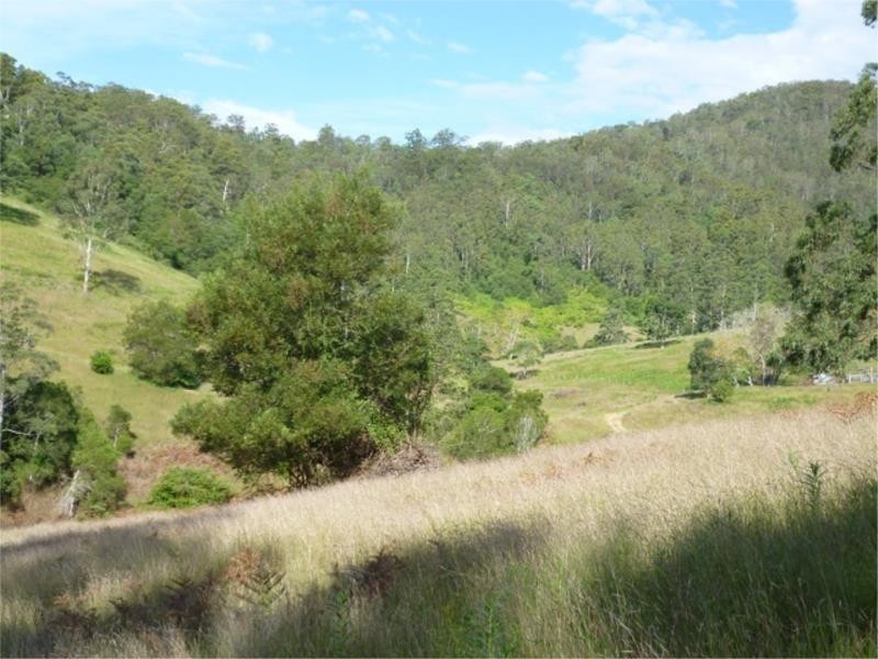 Ellenborough NSW 2446