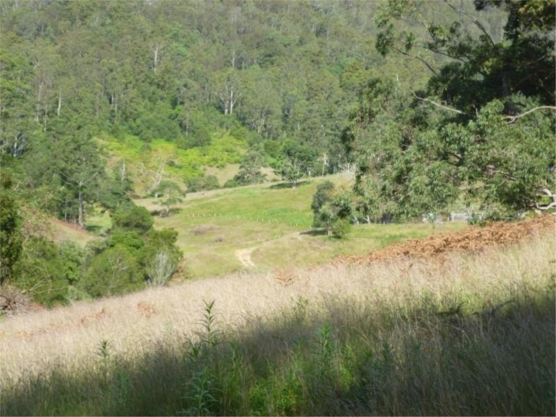 Ellenborough NSW 2446