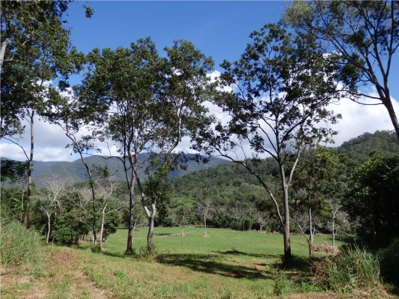 Little Mulgrave QLD 4865