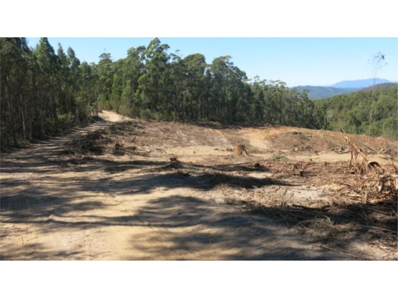 360 Wilmot Road, Forth TAS 7310