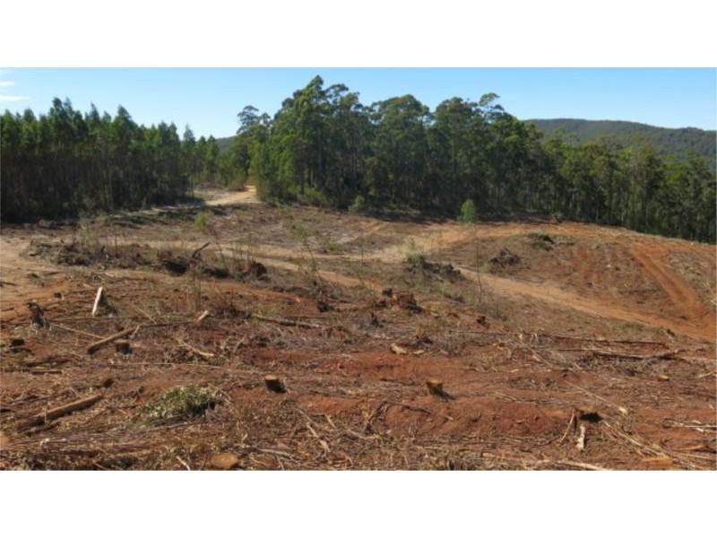 360 Wilmot Road, Forth TAS 7310