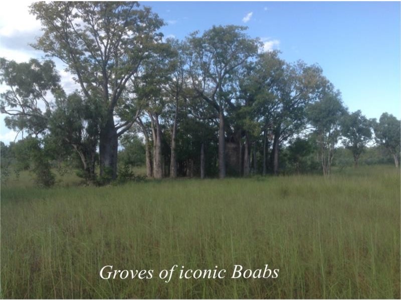 1 Crossing Falls Road, Kununurra WA 6743