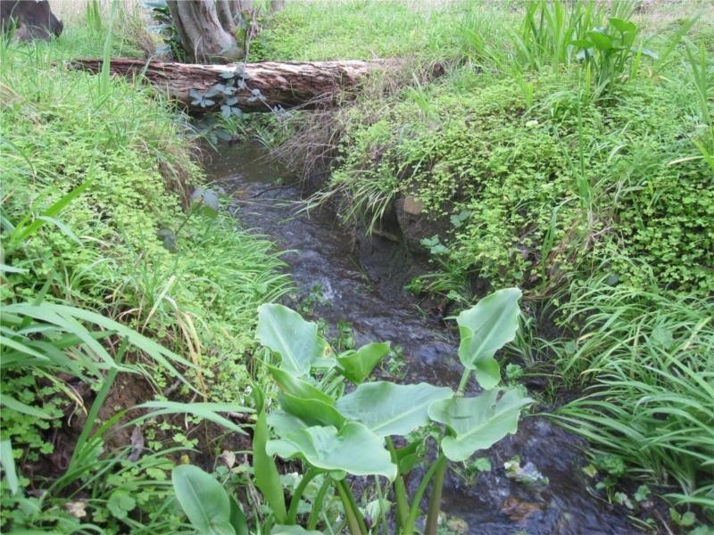 7 Avoca Avenue, Bridgewater SA 5155