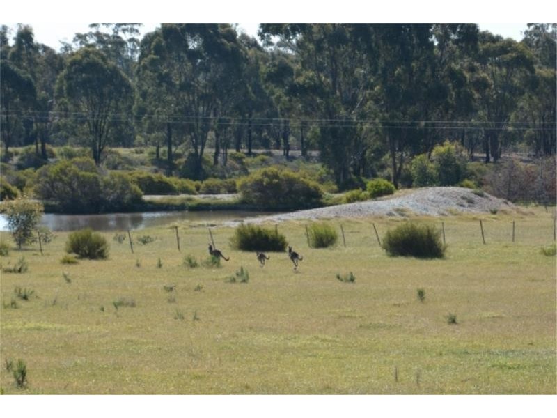 Lot 22C Frenchmans Road, Rushworth VIC 3612