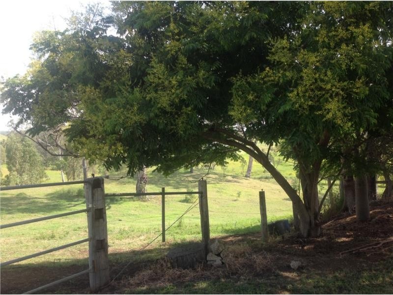 566 Oaky Creek Road, Oaky Creek QLD 4285