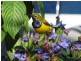 Airlie Beach QLD 4802