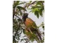 Airlie Beach QLD 4802