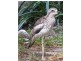 Airlie Beach QLD 4802