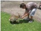 Airlie Beach QLD 4802
