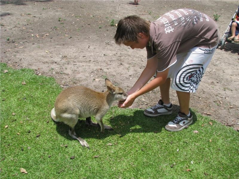 Airlie Beach QLD 4802