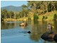 Tenterfield NSW 2372
