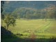 Tenterfield NSW 2372