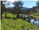 Tenterfield NSW 2372
