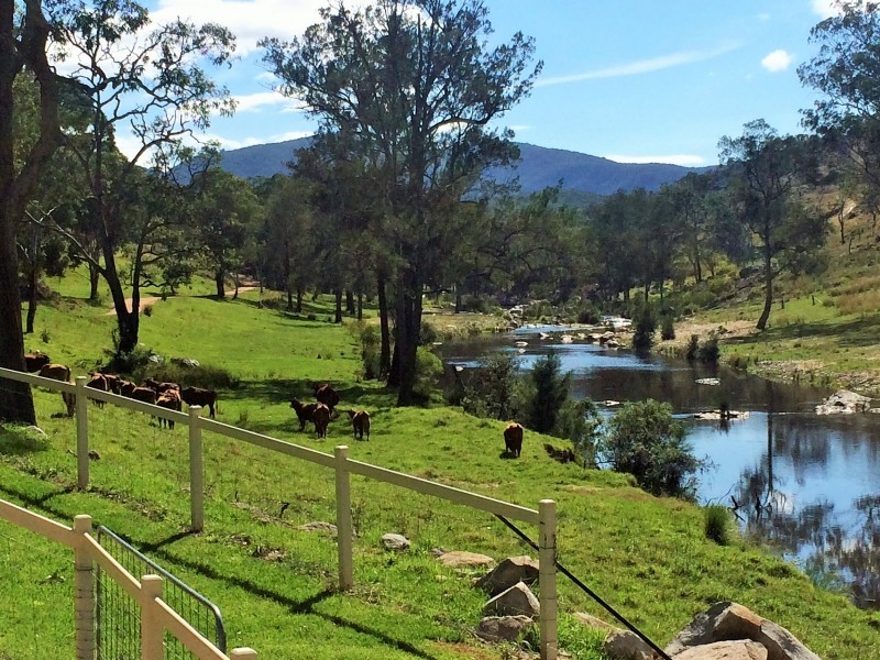 Tenterfield NSW 2372