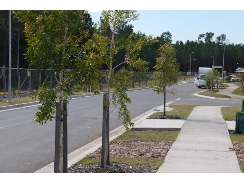 3 Pine Hill Street, Yarrabilba QLD 4207