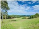 133 Jocelyn Drive, Eumundi QLD 4562
