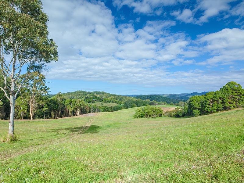 133 Jocelyn Drive, Eumundi QLD 4562