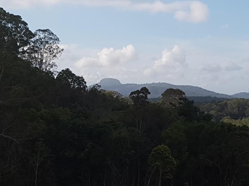 133 Jocelyn Drive, Eumundi QLD 4562