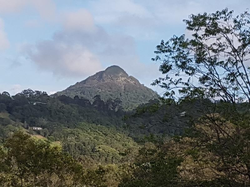 133 Jocelyn Drive, Eumundi QLD 4562