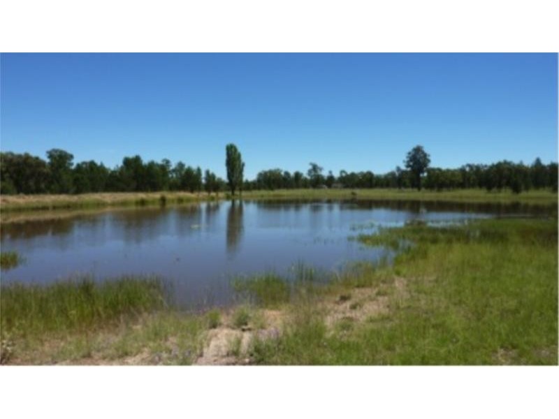 109 Brooklyn Road, Leyburn QLD 4365