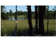 109 Brooklyn Road, Leyburn QLD 4365